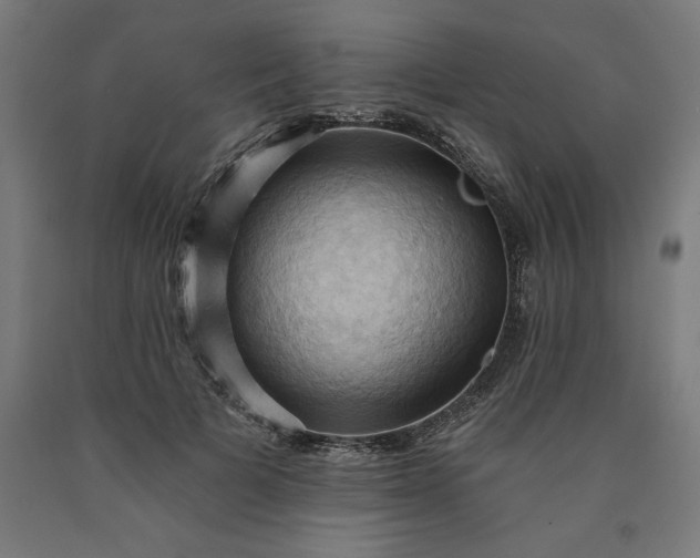 X0000090630697200707311306