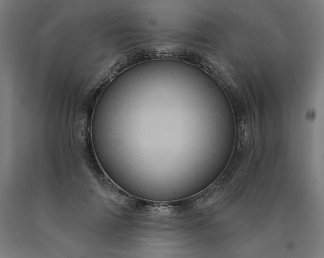 X0000090630698200707311306