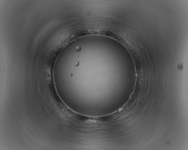 X0000090630699200707311306
