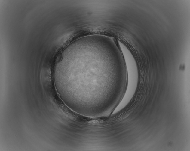 X0000090630700200707311306