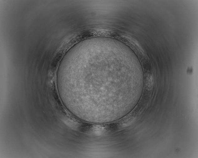 X0000090630701200707311306