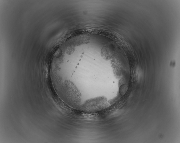 X0000090630703200707311306