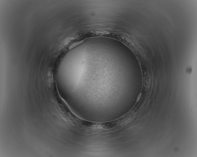 X0000090630704200707311306