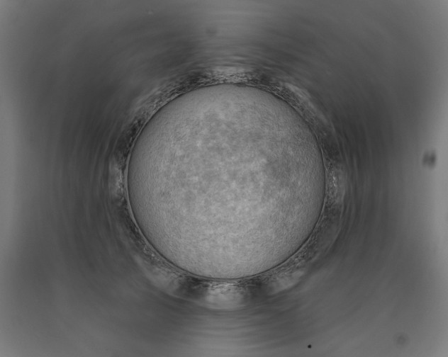 X0000090630705200707311306