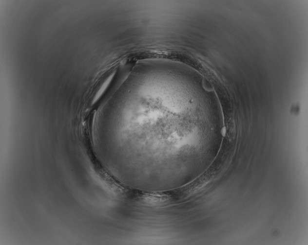 X0000090630707200707311306