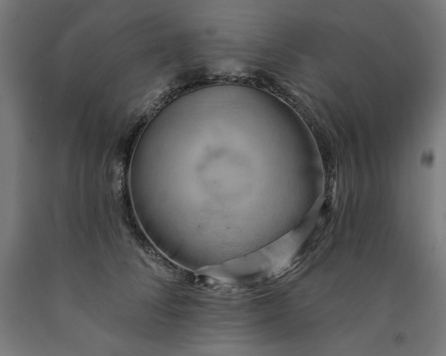 X0000090630708200707311306