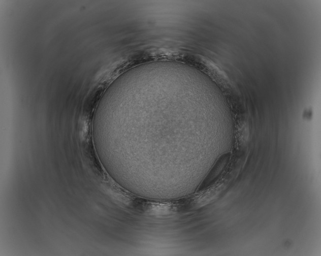 X0000090630709200707311306
