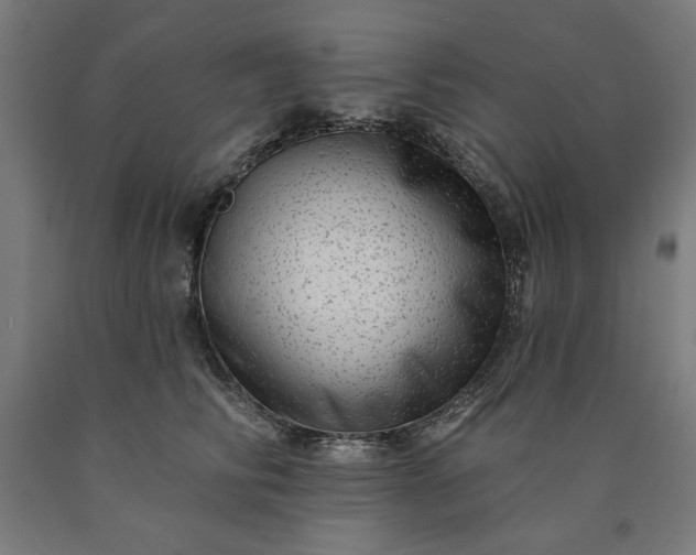 X0000090630710200707311306