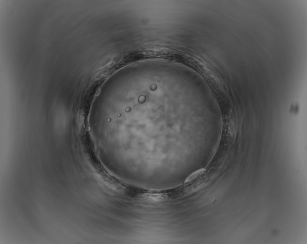 X0000090630711200707311305
