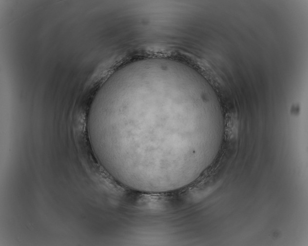 X0000090630713200707311305