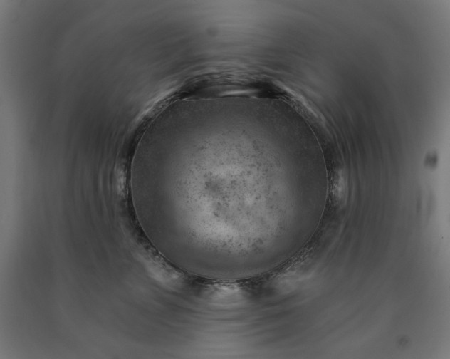 X0000090630715200707311305
