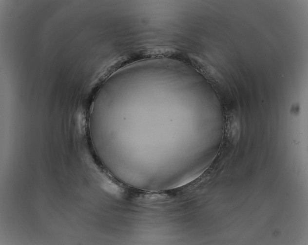 X0000090630716200707311305