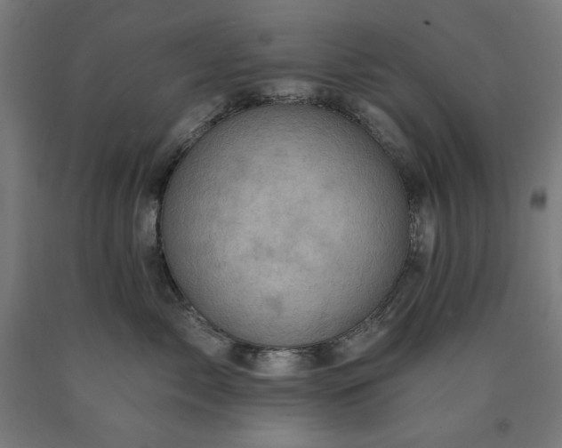 X0000090630717200707311305