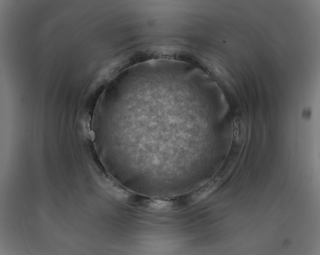X0000090630718200707311305