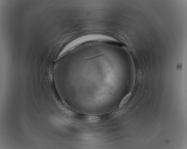 X0000090630719200707311305