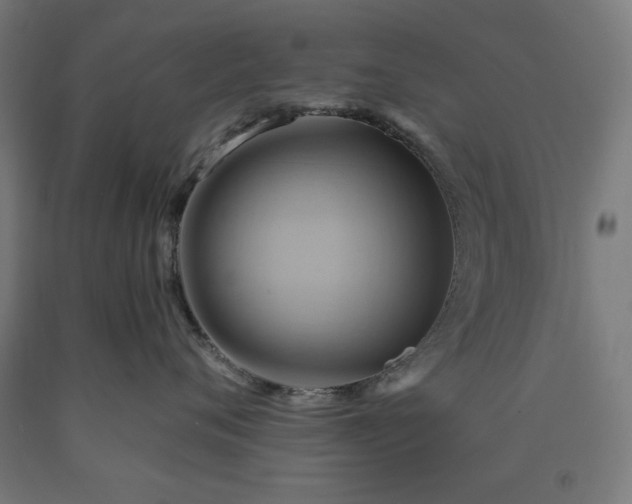 X0000090630720200707311305