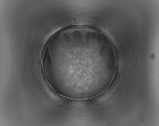X0000090630721200707311304