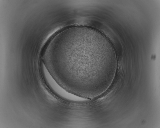 X0000090630722200707311304