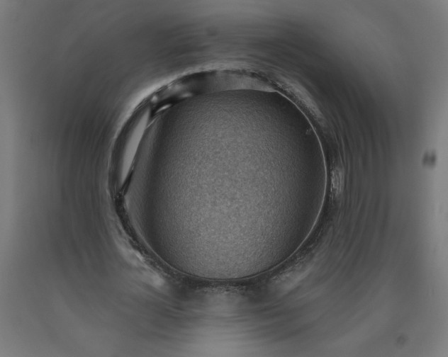 X0000090630724200707311304