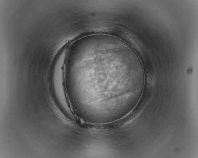 X0000090630725200707311304