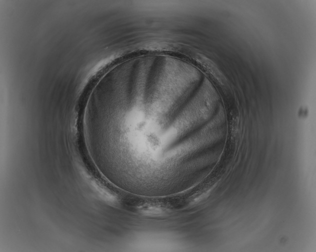 X0000090630727200707311304