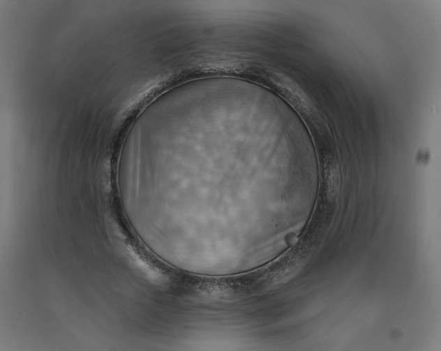 X0000090630729200707311304