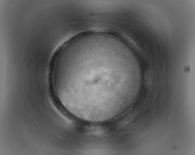 X0000090630730200707311304