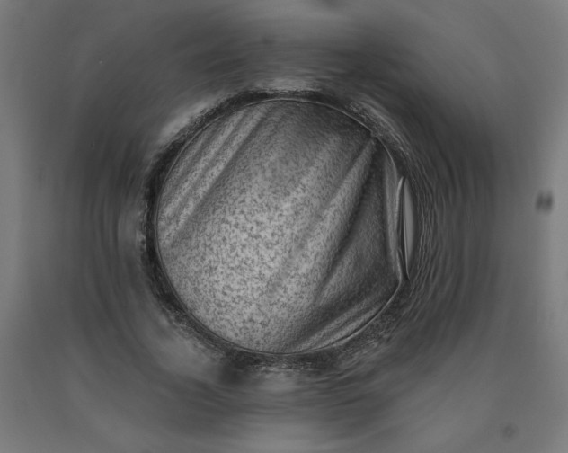 X0000090630732200707311304