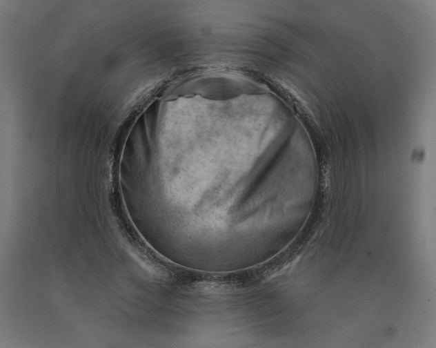 X0000090630733200707311304