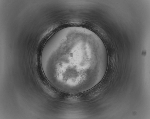 X0000090630734200707311304