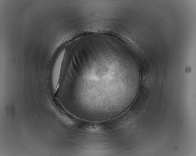X0000090630735200707311304
