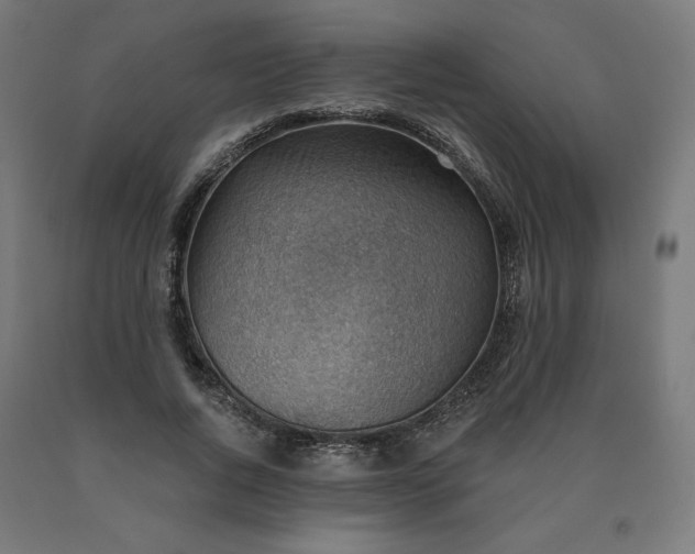 X0000090630736200707311304