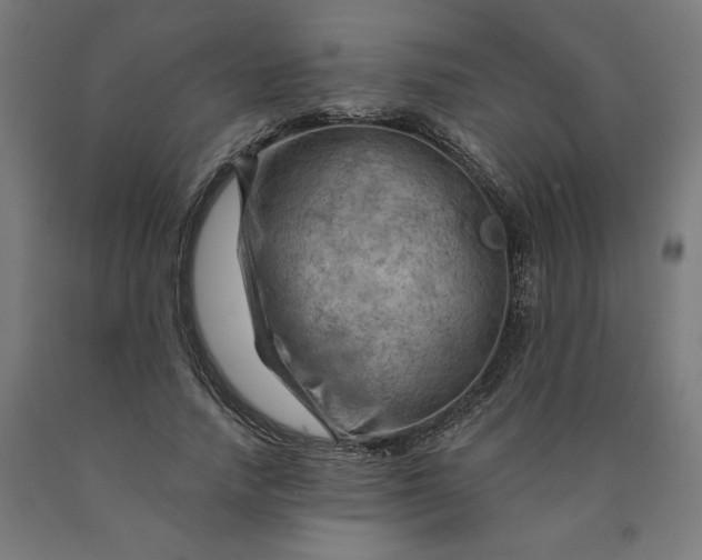 X0000090630738200707311305