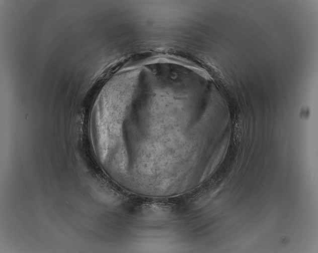 X0000090630739200707311305