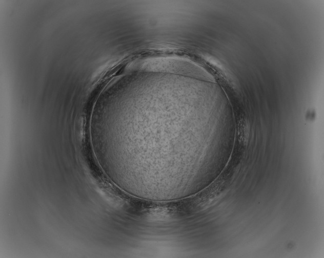 X0000090630740200707311305