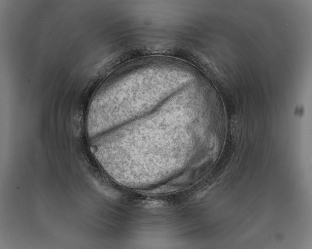 X0000090630741200707311305