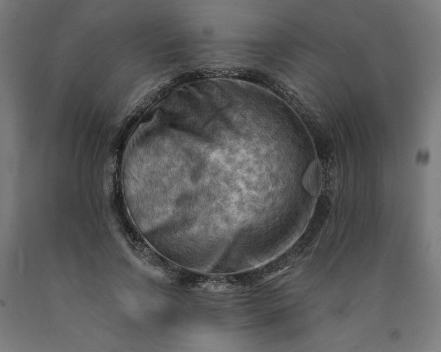 X0000090630742200707311305