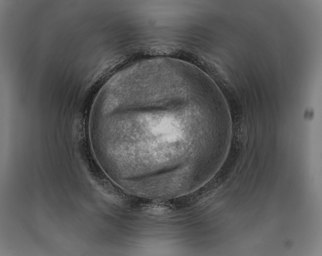 X0000090630743200707311305