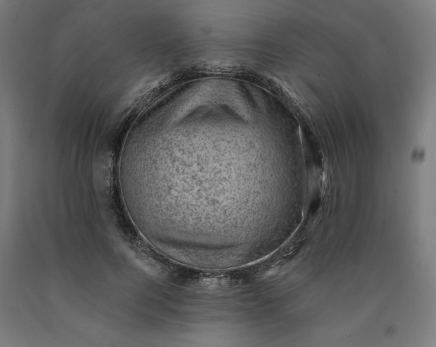 X0000090630744200707311305