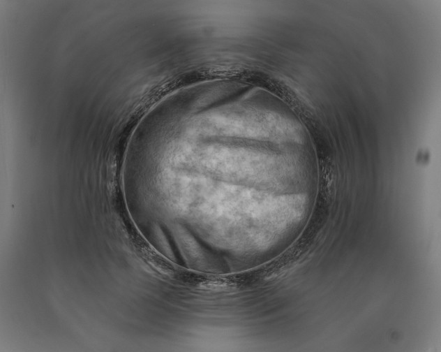 X0000090630745200707311305
