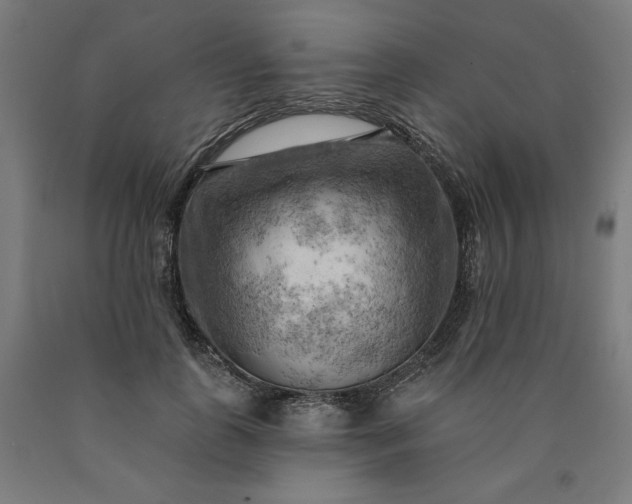 X0000090630747200707311305