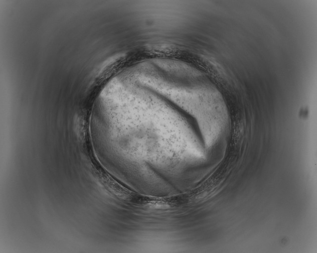 X0000090630749200707311305