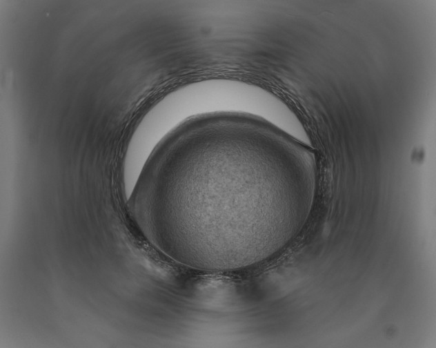 X0000090630750200707311305