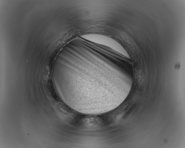 X0000090630752200707311305