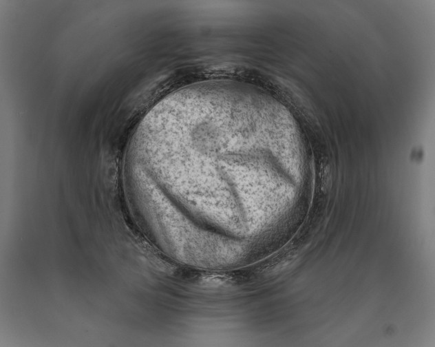 X0000090630753200707311305