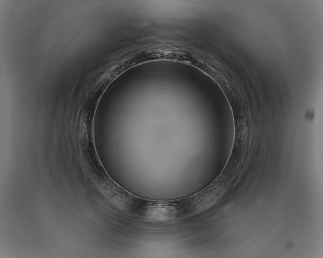 X0000090630754200707311305
