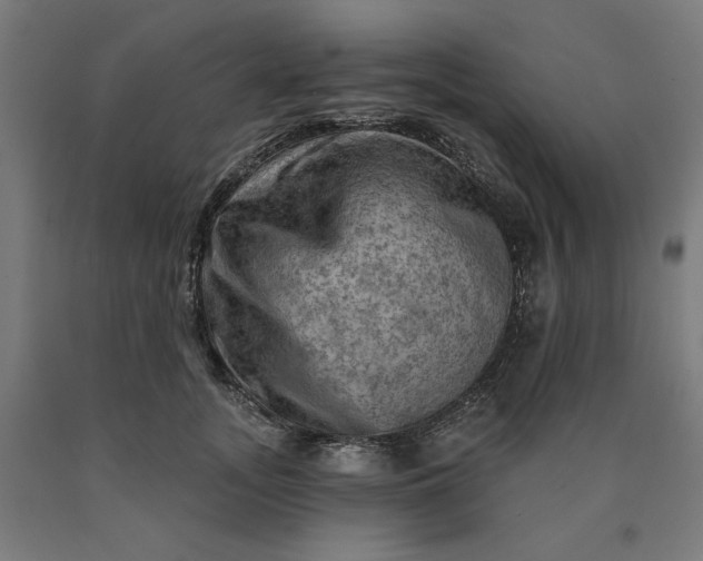 X0000090630755200707311305