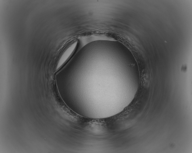 X0000090630756200707311305