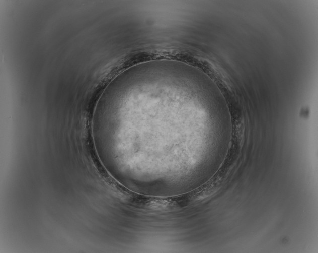 X0000090630757200707311305