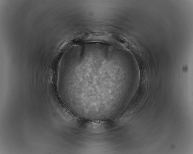 X0000090630758200707311305